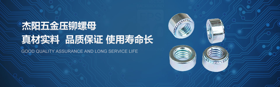 10年專業(yè)生產(chǎn)合頁鉸鏈五金制品